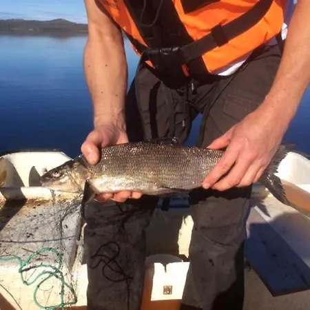Vestre Sorken Feriegard Landsted Drevsjø