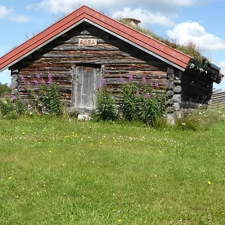 Vestre Sorken Feriegard Country house Drevsjo