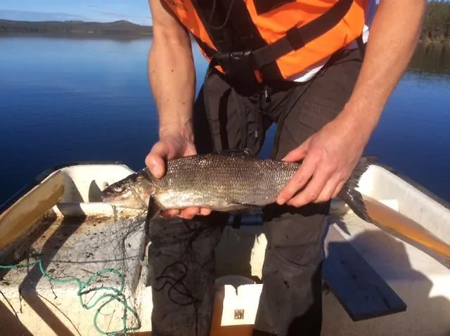Vestre Sorken Feriegard Kır Evi Drevsjø