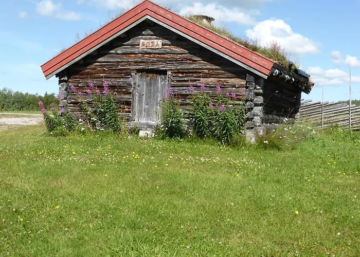 Vestre Sorken Feriegard Kır Evi Drevsjø