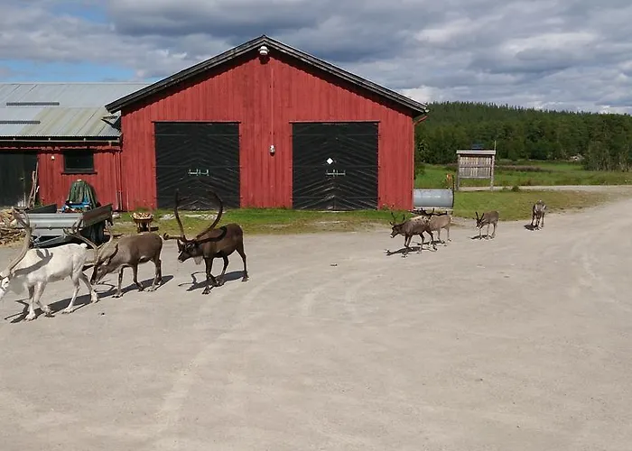 Vestre Sorken Feriegard