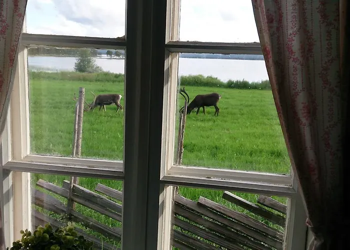 בית כפרי Vestre Sorken Feriegard Drevsjø