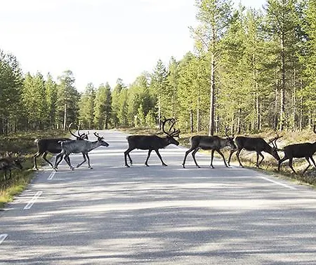 Vestre Sorken Feriegard Casa rural *